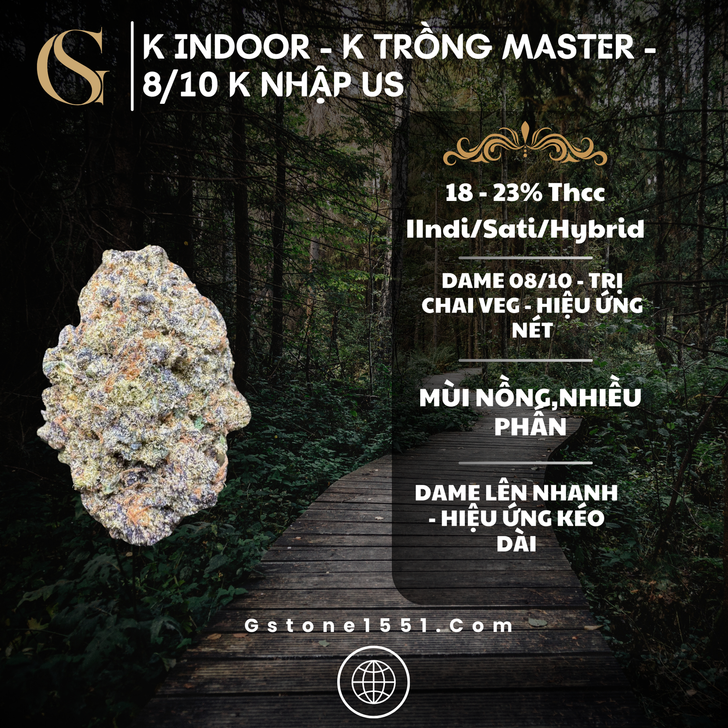 K Trồng Master - Indoor - Fake Nhập Us